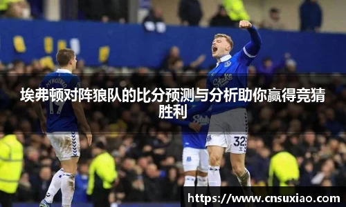 埃弗顿对阵狼队的比分预测与分析助你赢得竞猜胜利
